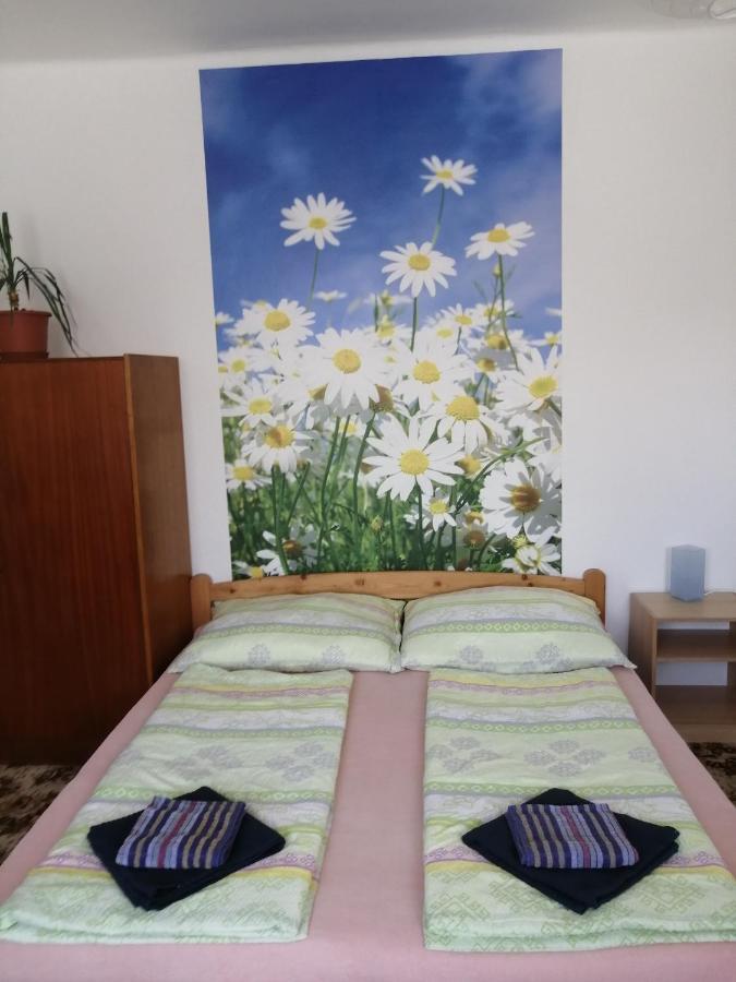 Homestay U Ladi